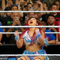 Happy Lets Go GIF by WWE