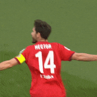 1 Fc Cologne Football GIF by 1. FC Köln