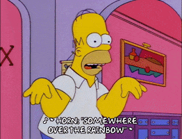 homer simpson GIF