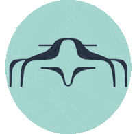 Car Racing Sticker by GBOlivier