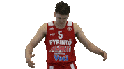 Basketball Hoops Sticker by Basket_fi
