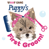Puppy Groom Sticker by Woof Gang Bakery & Grooming
