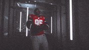 Feed Me Football GIF by Wisconsin Badgers