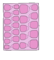Press On Nails Tool Kit Sticker by Trés She
