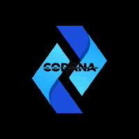 Software Heilbronn GIF by Codana