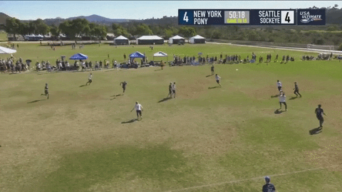 flikulti ultimate frisbee flik GIF