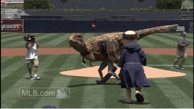 san diego padres GIF by MLB