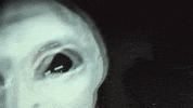 music video et GIF by Topshelf Records