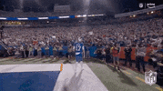 National Football League GIF by NFL