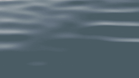 questatiana giphyupload sea sky landscape GIF