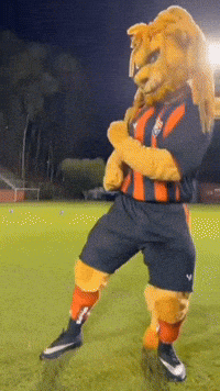 Ecvitoria GIF