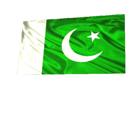 nfciet giphyupload flag Pakistan lets guide Sticker