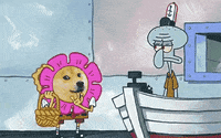 Doge Dogecoin GIF