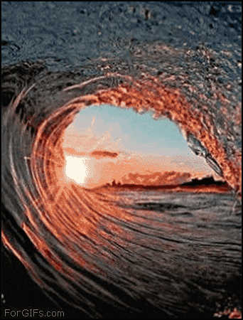 surf up tidal wave GIF