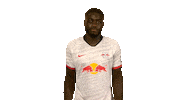 Come On What Sticker by Bundesliga