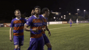 celebration goal GIF by FC Cincinnati