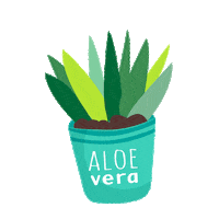vegan aloevera Sticker by Vevaloe
