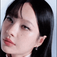 Face Artist GIF