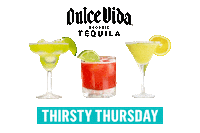 Sticker by Dulce Vida Tequila
