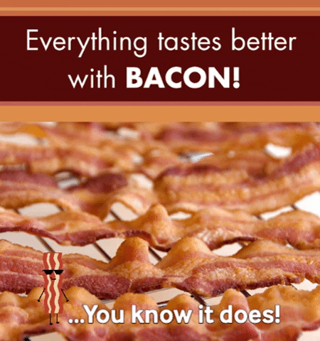 pimentocheese hungry bacon love bacon better with bacon GIF