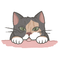 Cat Sleeping Sticker