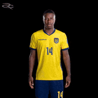 Fifa World Cup Ecuador GIF by Respective