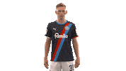 2 Bundesliga Hello Sticker by Holstein Kiel