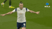 Happy Premier League GIF by MolaTV