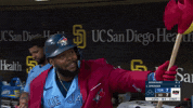 Home Run Sport GIF by MLB