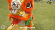 Strgif Strn GIF by STR Network
