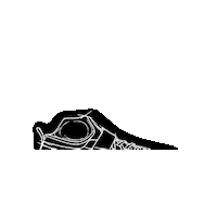 fizik_official ride mountain mtb enduro Sticker