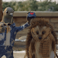 Happy Love It GIF by John Lewis & Partners