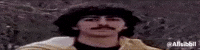 alisibbil what wtf surprised poker face GIF
