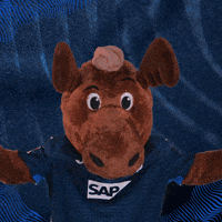 Sport Bundesliga GIF by TSG Hoffenheim