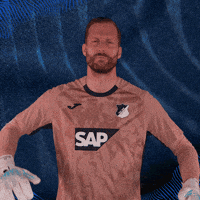 Sport Bundesliga GIF by TSG Hoffenheim