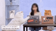 틴더스 굿즈 GIF
