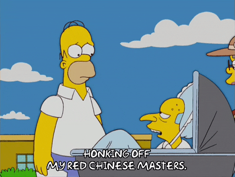 homer simpson GIF