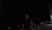 World Molly GIF