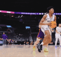 Panthers GIF by UNI Athletics