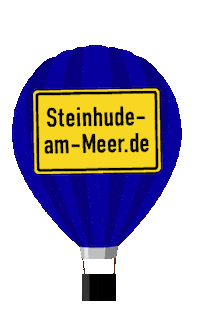 Ballon Wunstorf Sticker by Steinhude am Meer