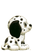 animate STICKER