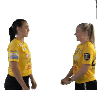 Floorball Salibandy Sticker by F-liiga