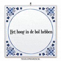 Humor Wijsheid GIF by Tegelspreuken.nl