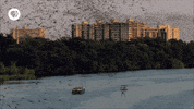 pbs adventure GIF by EARTH A New Wild
