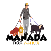Walking Dogwalker Sticker by Dog Walker Villavicencio