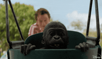 Gorilla Ivan GIF by Walt Disney Studios