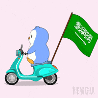 Saudi Arabia Penguin GIF by Pudgy Penguins