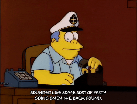 the simpsons episode 24 GIF
