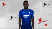 No Idea What GIF by Bundesliga
