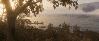 red dead redemption 2 GIF
